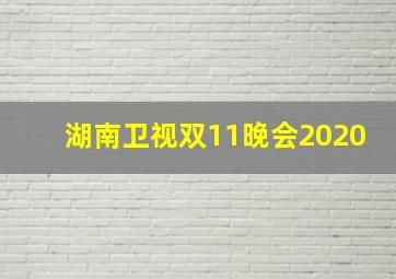 湖南卫视双11晚会2020