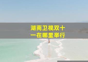 湖南卫视双十一在哪里举行