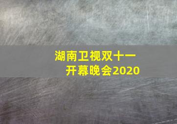 湖南卫视双十一开幕晚会2020