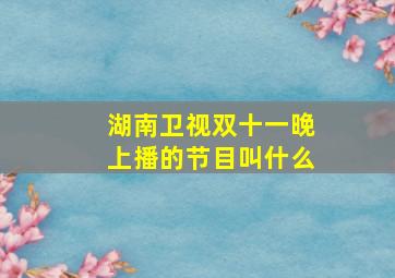 湖南卫视双十一晚上播的节目叫什么