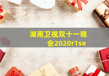 湖南卫视双十一晚会2020r1se