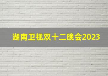 湖南卫视双十二晚会2023