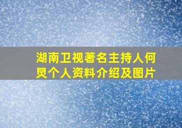 湖南卫视著名主持人何炅个人资料介绍及图片