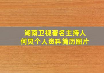 湖南卫视著名主持人何炅个人资料简历图片