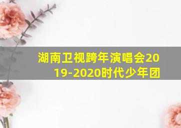 湖南卫视跨年演唱会2019-2020时代少年团