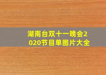 湖南台双十一晚会2020节目单图片大全