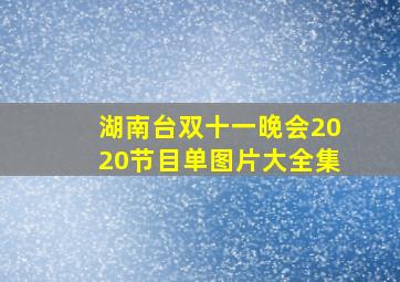 湖南台双十一晚会2020节目单图片大全集