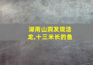 湖南山洞发现活龙,十三米长的鱼