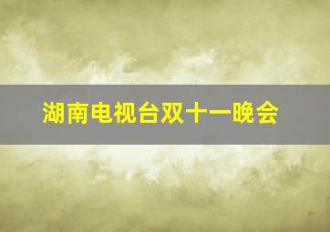 湖南电视台双十一晚会