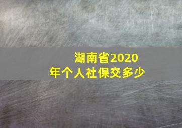 湖南省2020年个人社保交多少