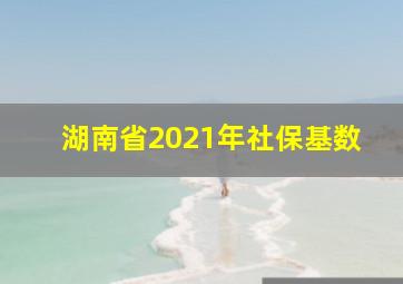 湖南省2021年社保基数