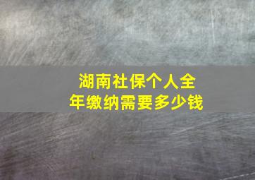 湖南社保个人全年缴纳需要多少钱