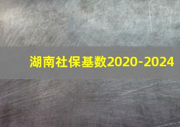 湖南社保基数2020-2024