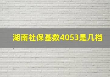 湖南社保基数4053是几档