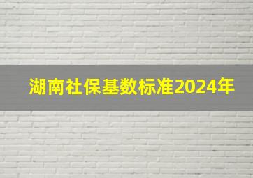 湖南社保基数标准2024年