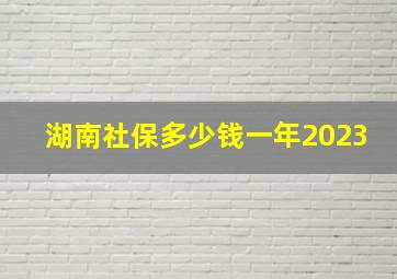 湖南社保多少钱一年2023