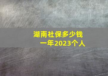 湖南社保多少钱一年2023个人