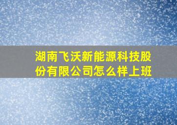 湖南飞沃新能源科技股份有限公司怎么样上班