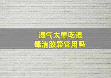 湿气太重吃湿毒清胶囊管用吗