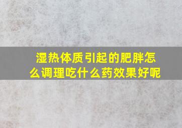 湿热体质引起的肥胖怎么调理吃什么药效果好呢