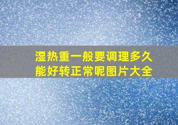 湿热重一般要调理多久能好转正常呢图片大全