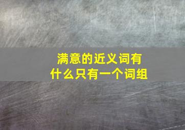 满意的近义词有什么只有一个词组