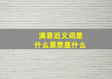 满意近义词是什么意思是什么