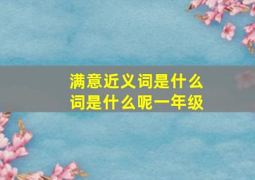 满意近义词是什么词是什么呢一年级