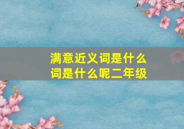 满意近义词是什么词是什么呢二年级