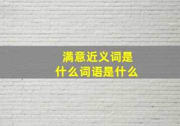 满意近义词是什么词语是什么