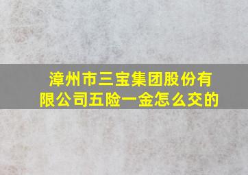 漳州市三宝集团股份有限公司五险一金怎么交的