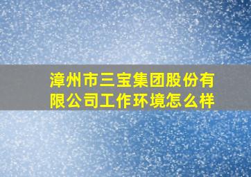 漳州市三宝集团股份有限公司工作环境怎么样