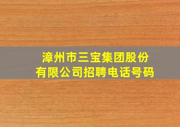 漳州市三宝集团股份有限公司招聘电话号码