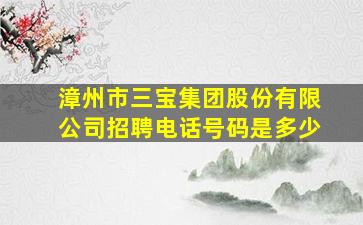 漳州市三宝集团股份有限公司招聘电话号码是多少