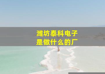 潍坊泰科电子是做什么的厂