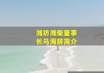 潍坊潍柴董事长马海辞简介