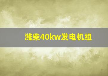 潍柴40kw发电机组