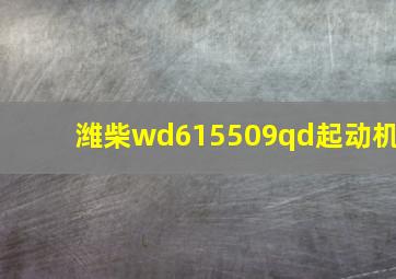 潍柴wd615509qd起动机