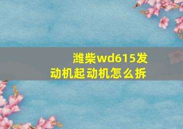 潍柴wd615发动机起动机怎么拆