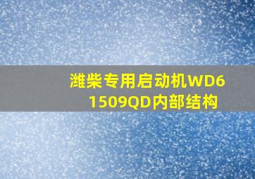 潍柴专用启动机WD61509QD内部结构