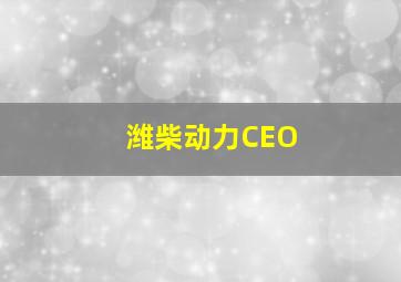 潍柴动力CEO