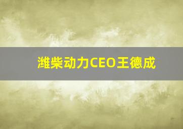 潍柴动力CEO王德成