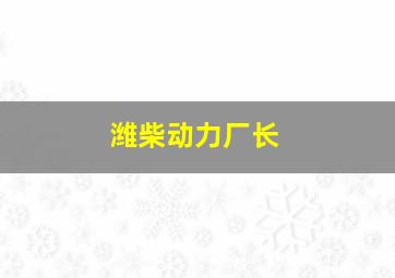 潍柴动力厂长