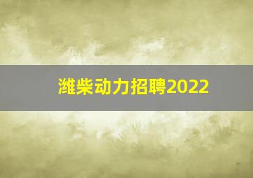 潍柴动力招聘2022