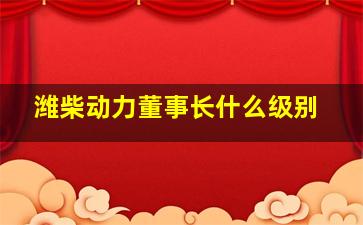 潍柴动力董事长什么级别