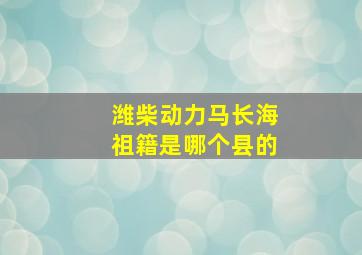 潍柴动力马长海祖籍是哪个县的