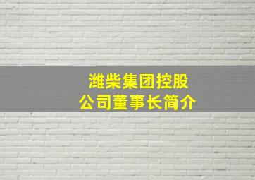 潍柴集团控股公司董事长简介