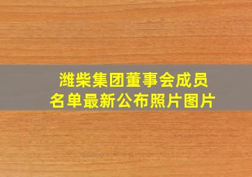 潍柴集团董事会成员名单最新公布照片图片