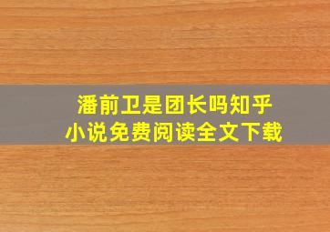 潘前卫是团长吗知乎小说免费阅读全文下载