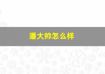 潘大帅怎么样